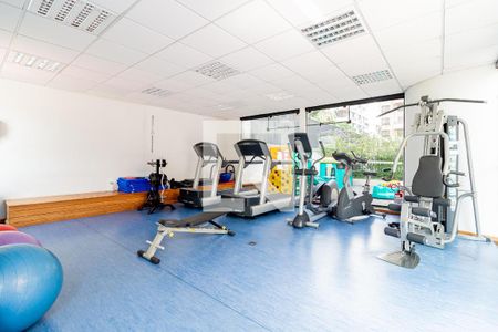 Apartamento à venda com 300m², 3 quartos e 1 vaga