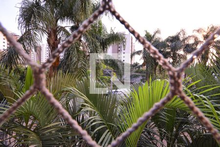 Vista do Quarto 1 de apartamento para alugar com 2 quartos, 47m² em Vila Constança, São Paulo