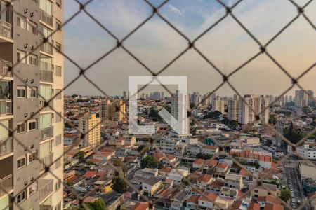 Apartamento para alugar com 1 quarto, 50m² em Vila Santa Catarina, São Paulo