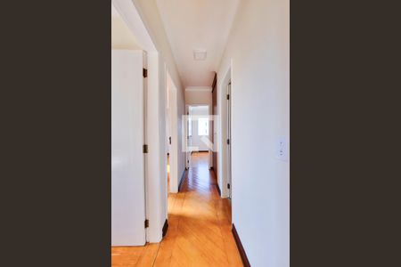 Corredor de apartamento para alugar com 3 quartos, 64m² em Jardim Alvorada, São José dos Campos