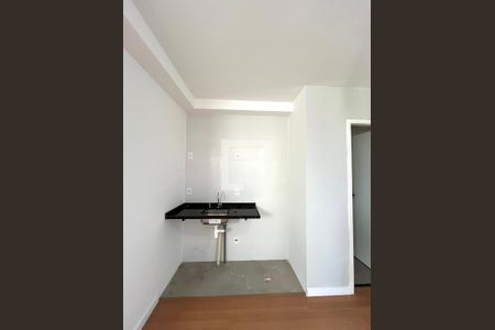 Cozinha de apartamento para alugar com 1 quarto, 24m² em Vila Parque Jabaquara, São Paulo