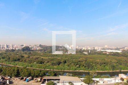 Vista da Sacada de apartamento para alugar com 2 quartos, 46m² em Piratininga, Osasco