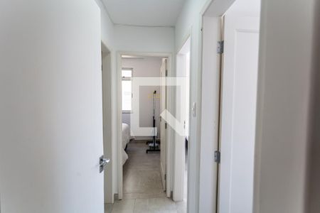 Corredor de apartamento para alugar com 3 quartos, 78m² em Santo Antônio, Belo Horizonte