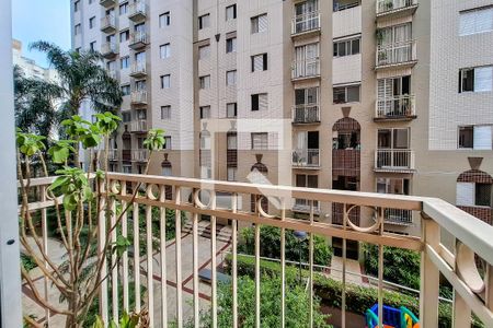 varanda de apartamento à venda com 2 quartos, 50m² em Cambuci, São Paulo