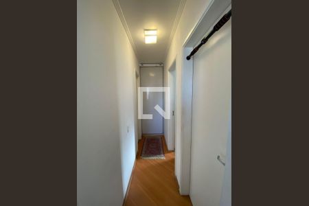 Foto 01 de apartamento à venda com 3 quartos, 63m² em Cambuci, São Paulo