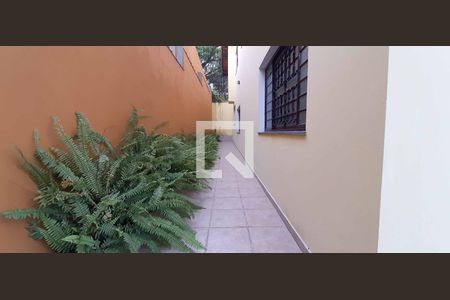 Casa para alugar com 400m², 4 quartos e 4 vagas Casa para alugar com 400m², 4 quartos e 4 vagasJardim