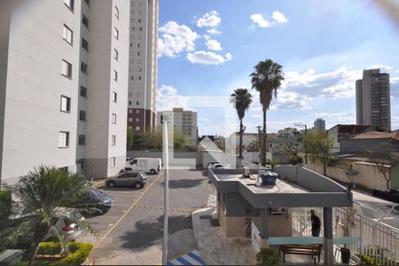 Vista do Quarto 1 de apartamento para alugar com 3 quartos, 54m² em Vila Guilherme, São Paulo