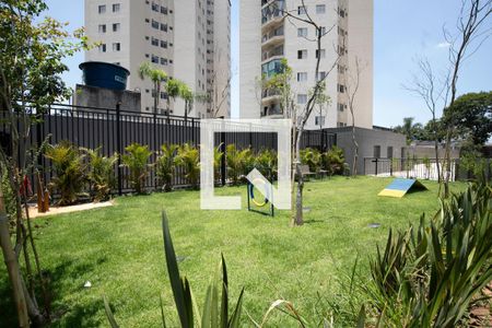 Kitnet/Studio para alugar com 1 quarto, 40m² em Vila Camargos, Guarulhos