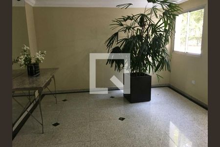 Apartamento à venda com 3 quartos, 91m² em Vila Indiana, São Paulo