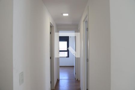 Corredor de apartamento para alugar com 3 quartos, 80m² em Vila Clementino, São Paulo