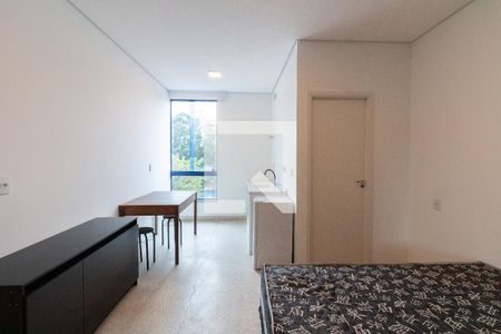 Studio de kitnet/studio para alugar com 1 quarto, 22m² em Vila Antonio, São Paulo