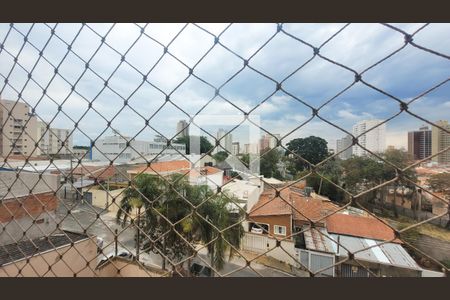 Sala de apartamento para alugar com 3 quartos, 80m² em Ponte Preta, Campinas