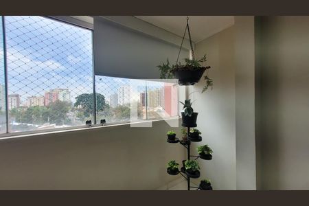 Sala de apartamento para alugar com 3 quartos, 80m² em Ponte Preta, Campinas