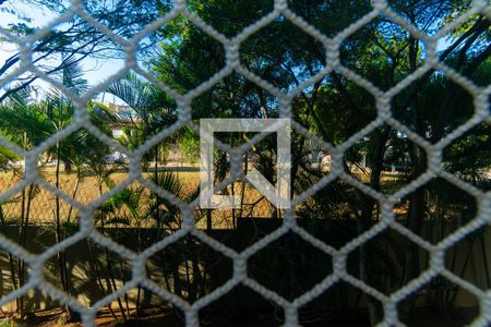 Vista da Varanda da Sala de apartamento à venda com 3 quartos, 64m² em Vila Carmem, São Paulo