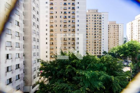 Sala vista de apartamento para alugar com 3 quartos, 80m² em Vila Andrade, São Paulo