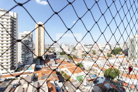 Varanda da Sala - Vista  de apartamento para alugar com 3 quartos, 186m² em Ipiranga, São Paulo