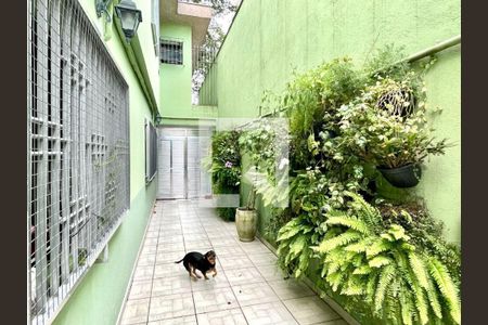 Casa à venda com 4 quartos, 200m² em Mirandópolis, São Paulo