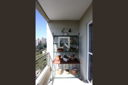 Varanda da Sala de apartamento para alugar com 3 quartos, 140m² em Paraíso do Morumbi, São Paulo