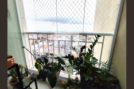 Apartamento à venda com 3 quartos, 75m² em Vila Paulo Silas, São Paulo