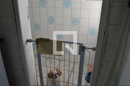 Área de serviço  de apartamento para alugar com 3 quartos, 80m² em Alvorada, Contagem