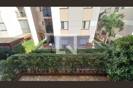 Vista do Quarto 1  de apartamento para alugar com 2 quartos, 46m² em Jardim Ipaussurama, Campinas