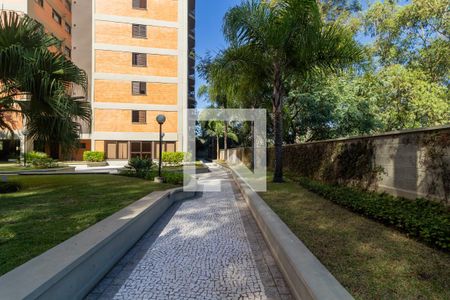 Apartamento para alugar com 83m², 3 quartos e 2 vagas Apartamento para alugar com 83m², 3 quartos e 2 vagasÁrea comum