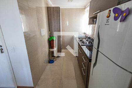 Cozinha de apartamento à venda com 2 quartos, 49m² em Santa Amélia, Belo Horizonte