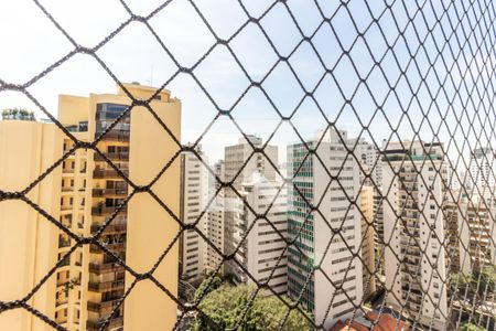 Sala - Vista de apartamento para alugar com 3 quartos, 234m² em Higienópolis, São Paulo