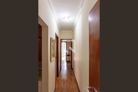 Corredor  de apartamento à venda com 2 quartos, 76m² em Santa Efigênia, Belo Horizonte