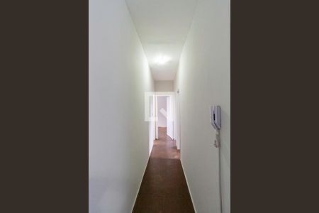 Corredor de apartamento para alugar com 3 quartos, 89m² em Alípio de Melo, Belo Horizonte