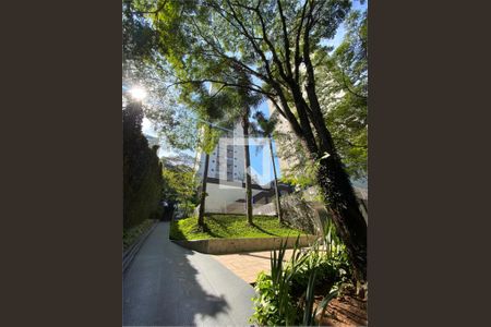 Apartamento à venda com 2 quartos, 65m² em Parque Colonial, São Paulo