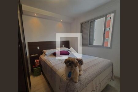 Apartamento à venda com 3 quartos, 70m² em Cambuci, São Paulo