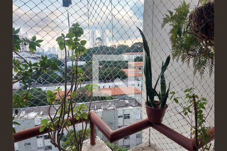 Apartamento à venda com 3 quartos, 69m² em Jardim Santa Ines, São Paulo