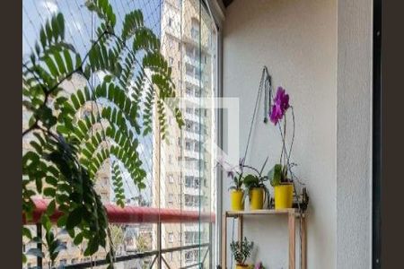 Apartamento à venda com 3 quartos, 76m² em Jardim Monte Kemel, São Paulo