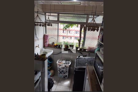 Apartamento à venda com 3 quartos, 75m² em Vila Constança, São Paulo