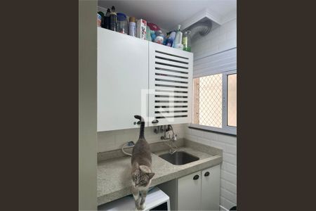 Apartamento à venda com 3 quartos, 91m² em Jardim Paraiso, São Paulo