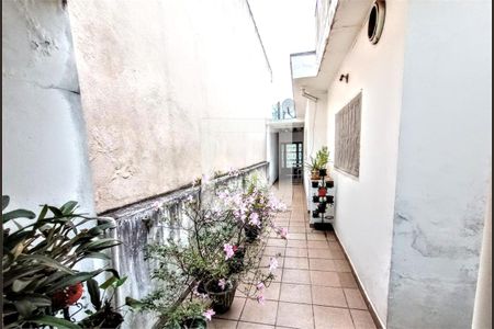 Casa à venda com 3 quartos, 200m² em Vila Darli, São Paulo