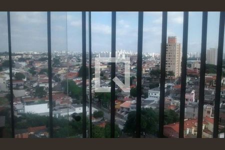 Apartamento à venda com 3 quartos, 110m² em Vila Mangalot, São Paulo