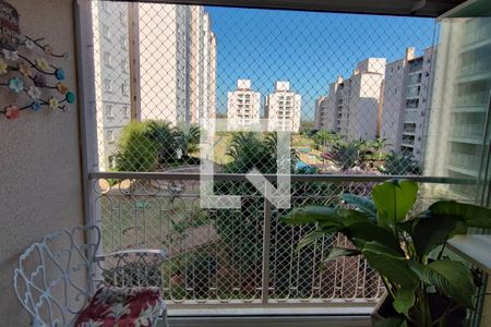 Varanda da Sala de apartamento para alugar com 2 quartos, 64m² em Jardim São Vicente, Campinas