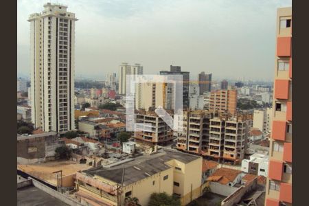 Apartamento à venda com 3 quartos, 110m² em Santana, São Paulo