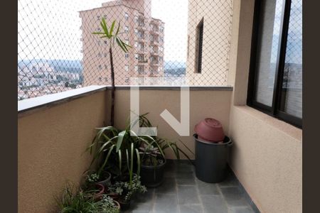 Apartamento à venda com 3 quartos, 105m² em Água Fria, São Paulo