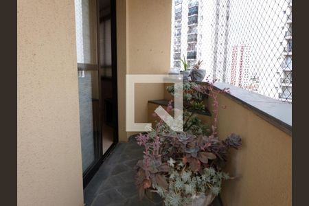 Apartamento à venda com 3 quartos, 105m² em Água Fria, São Paulo