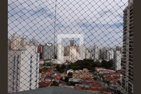 Apartamento à venda com 3 quartos, 105m² em Água Fria, São Paulo