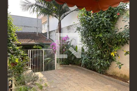 Casa à venda com 3 quartos, 290m² em Jardim Belgica, São Paulo