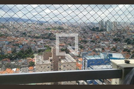 Apartamento à venda com 3 quartos, 75m² em Limão, São Paulo