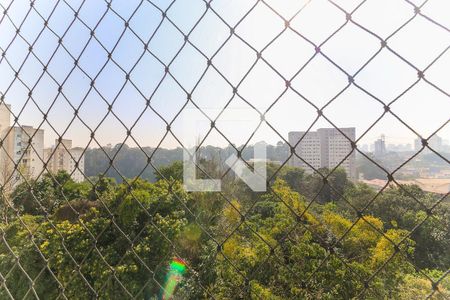 Vista da Varanda de apartamento à venda com 2 quartos, 52m² em Jardim Umarizal, São Paulo