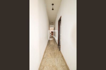 Corredor  de casa para alugar com 3 quartos, 240m² em Vila Industrial (campinas), Campinas