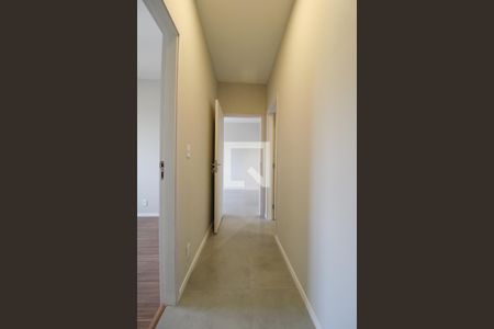 Corredor de apartamento à venda com 2 quartos, 108m² em Nova Campinas, Campinas