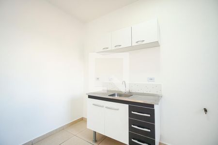 Cozinha de apartamento para alugar com 1 quarto, 28m² em Chácara Santo Antônio (zona Leste), São Paulo