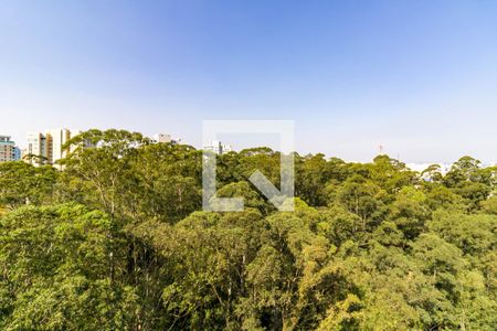 Vista Sala de apartamento à venda com 3 quartos, 65m² em Vila Andrade, São Paulo